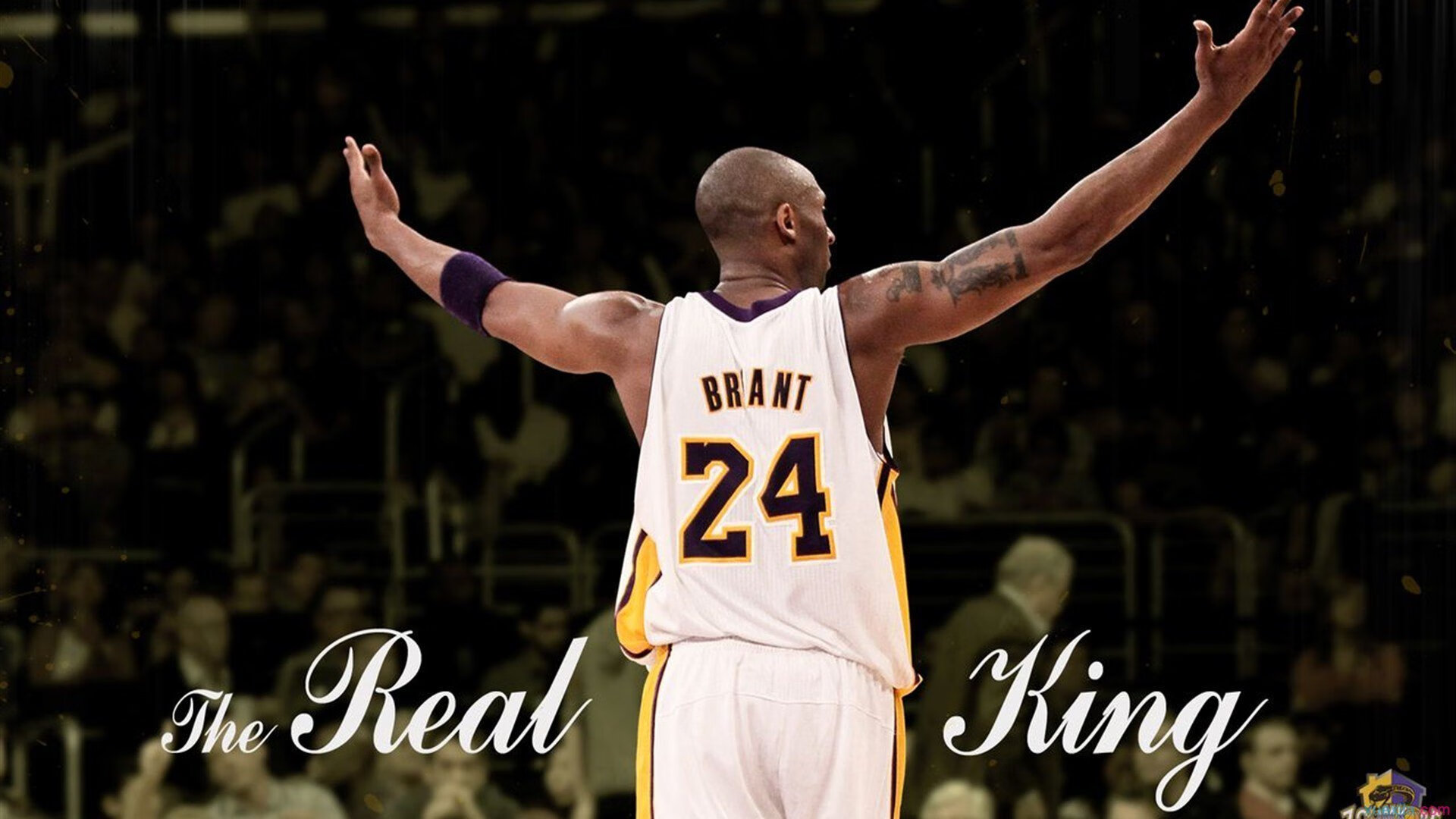 布鲁诺的救赎之夜，当塞内加尔战鼓遇上韩国太极虎